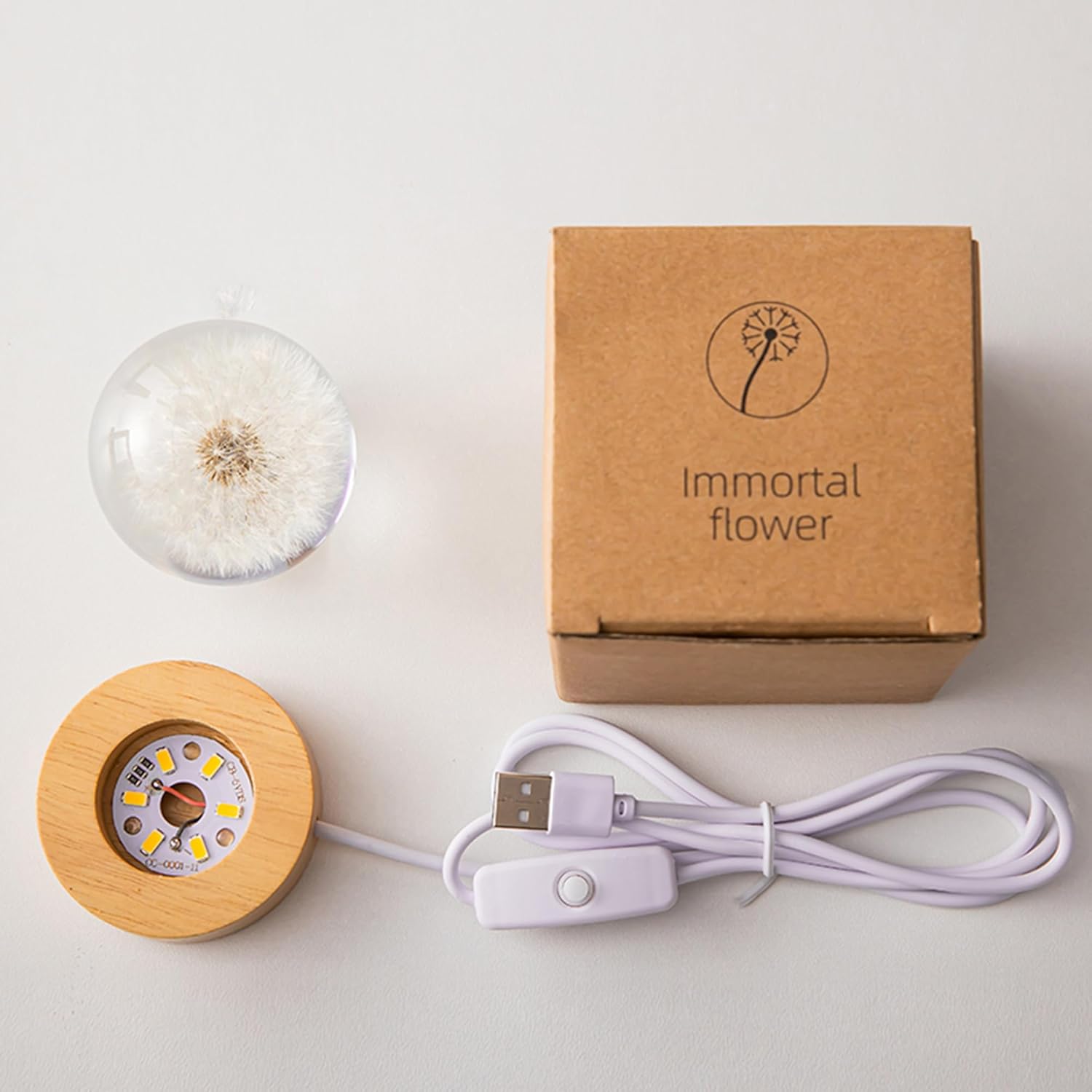 Daisy Crystal Flower Night Light – Floral Resin Lamp with Wooden Base
